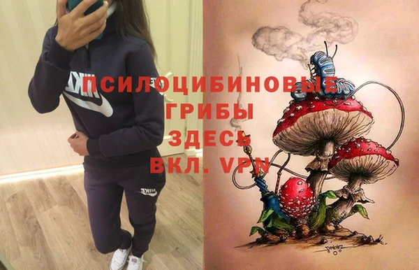 mdpv Касимов