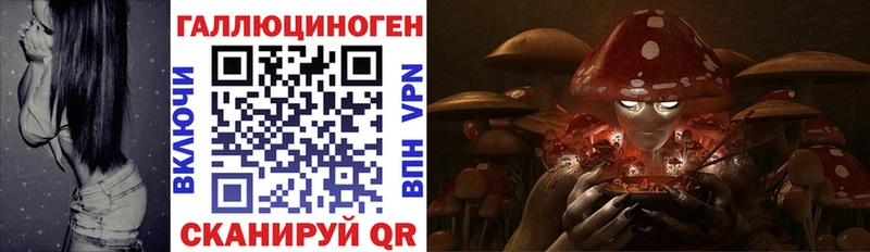 гидра ссылка  Лесосибирск  Псилоцибиновые грибы мицелий 