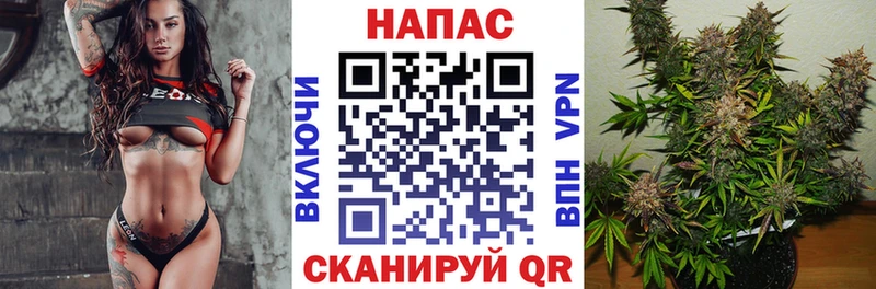 Шишки марихуана тримм  Лесосибирск 