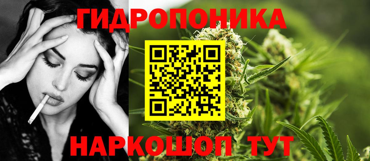 Бошки Шишки конопля  Бошки Шишки SATIVA & INDICA  Конопля марихуана  Лесосибирск  Конопля AK-47  Вход с VPN 